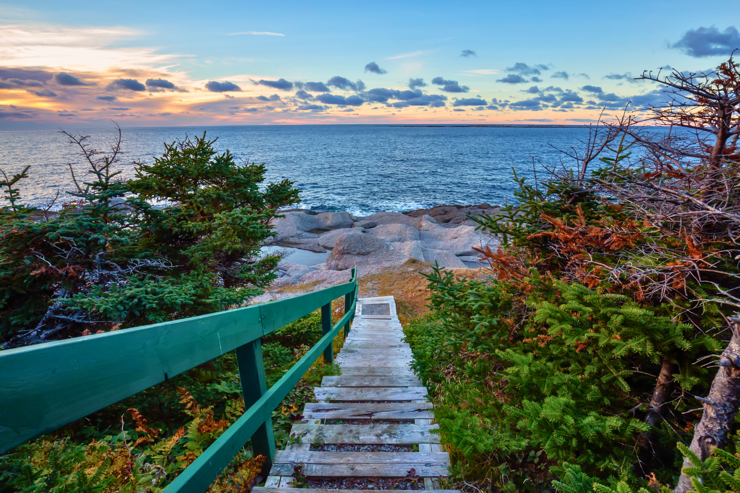 eastern newfoundland, newfoundland and labrador.webp